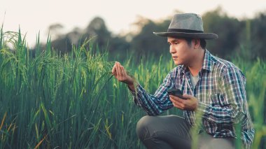 Tarladaki mutlu Asyalı erkek çiftçi bir şapka takın ve bitkilerin büyümesini ve hastalıklarını takip etmek için akıllı bir tablet taşıyın. Zeki çiftçilerin teknolojiyi kullanması.