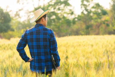 Erkek çiftçi tahıl tarlasını inceler ve tabletten buluta veri gönderir Akıllı tarım ve dijital tarım arpa tarlalarındaki verileri analiz eder