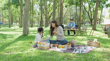 Mutlu Asyalı aile parkta kamp yapıyor, dışarıda eğleniyor, bir tatil partisini kutluyor, yemek yiyor, gitar çalıyor ve birlikte şarkı söylüyor..