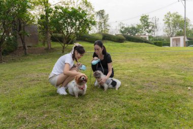 İki genç kadın küçük bir köpekle eğlenip bağlarını güçlendiriyorlar. Oyuncu etkileşim, çayırdaki sevgi dolu ilişkilerini yakalar..