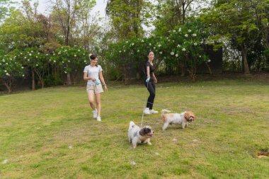 İki genç kadın küçük bir köpekle eğlenip bağlarını güçlendiriyorlar. Oyuncu etkileşim, çayırdaki sevgi dolu ilişkilerini yakalar..