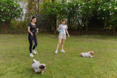 İki genç kadın küçük bir köpekle eğlenip bağlarını güçlendiriyorlar. Oyuncu etkileşim, çayırdaki sevgi dolu ilişkilerini yakalar..