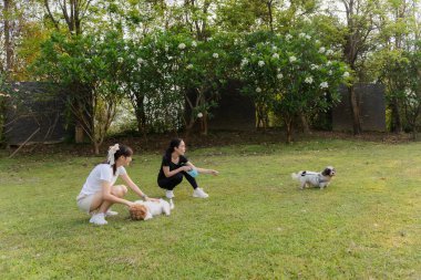 İki genç kadın küçük bir köpekle eğlenip bağlarını güçlendiriyorlar. Oyuncu etkileşim, çayırdaki sevgi dolu ilişkilerini yakalar..