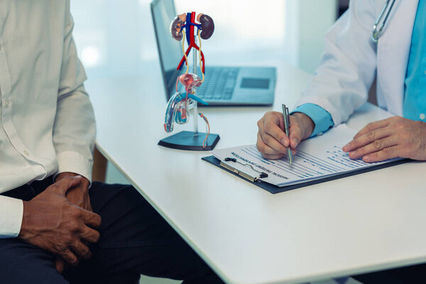 Модель почки, образец мочи и инструмент медицинского анализа Молодой человек консультируется с врачом о причинах эректильной дисфункции в смотровой комнате с врачом.