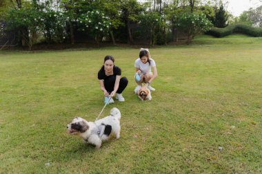 İki Asyalı kadın ve iki köpek açık havada eğleniyorlar. İnsanlar ve evcil hayvanları arasındaki arkadaşlık. Yüksek kalite.