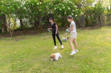 İki Asyalı kadın ve iki köpek açık havada eğleniyorlar. İnsanlar ve evcil hayvanları arasındaki arkadaşlık. Yüksek kalite.