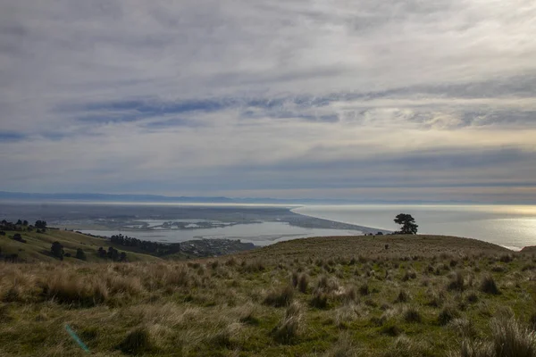Richmond Hill Sluttning Förort Ovanför Sumner Christchurch Nya Zeeland — Stockfoto