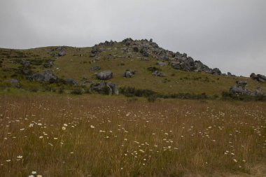 Castle Hills tırmanmak ve kaya yapmak için son derece popüler bir yerdir. Rezervde çok sayıda vidalanmış tırmanış var.