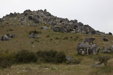 Castle Hills tırmanmak ve kaya yapmak için son derece popüler bir yerdir. Rezervde çok sayıda vidalanmış tırmanış var.