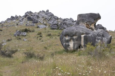 Castle Hills tırmanmak ve kaya yapmak için son derece popüler bir yerdir. Rezervde çok sayıda vidalanmış tırmanış var.