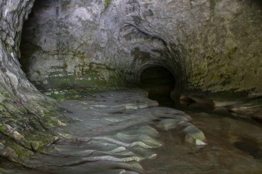 Mağara Akıntısı Rezerv rayları ve Yeni Zelanda 'da mağara yürüyüşü