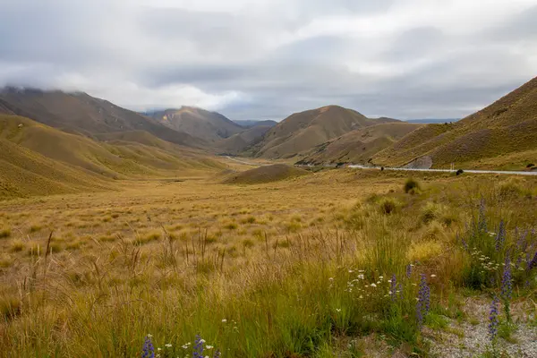 Yeni Zelanda 'nın Güney Adası' nda yer alan Lindis Geçidi, zirvesinde bir bakış açısı ve ek manzaralı noktalara giden iki kısa yola erişim sağlayan bir otopark barındırıyor..