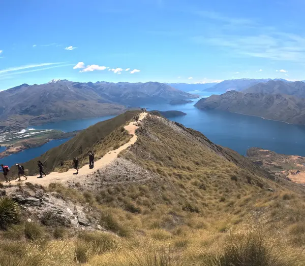 Wanaka ve Glendhu Körfezi 'nin ortasında yer alan Roys Tepesi Yeni Zelanda' da önemli bir dağdır..