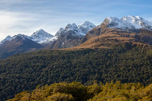 stock image Key Summit is a popular track at Fiordland National Park.