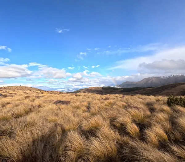 Fiordland Ulusal Parkı 'ndaki Kepler Pisti üzerinde yer alan Luxmore Hut, Te Anau Gölü ve çevresindeki dağların panoramik manzarasını sunmaktadır. Yürüyüşçüler için popüler bir duraktır, nefes kesen dağ manzarası arasında rahat bir konaklama sağlar..