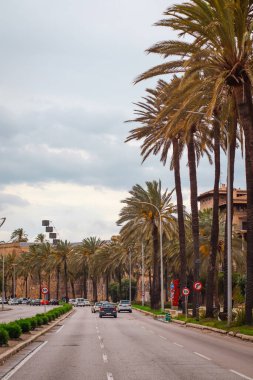 Palma de Mallorca, İspanya, 4 Nisan 2022 - Mallorca 'da bulutlu bir günde arabalı ve palmiye ağaçlı cadde