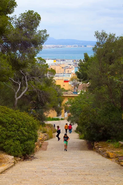 Palma de Mallorca, İspanya, 4 Nisan 2022 - Çocuk ağaçlarla ve denizle merdivenleri çıkıyor