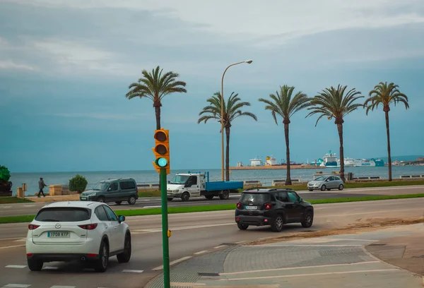 Palma Mallorca Hiszpania Kwietnia 2022 Ulica Samochodami Palmami Pochmurny Dzień — Zdjęcie stockowe