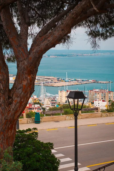 Palma Mallorca Hiszpania Kwietnia 2022 Widok Port Majorce Drzewami Lampą — Zdjęcie stockowe