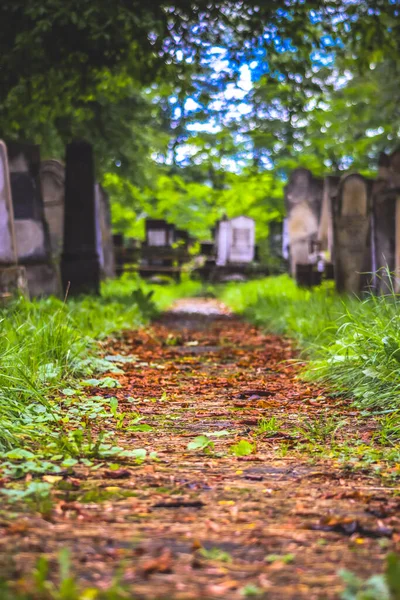 秋天在罗马尼亚拉多蒂的犹太人公墓 墓穴之间有小路 — 图库照片