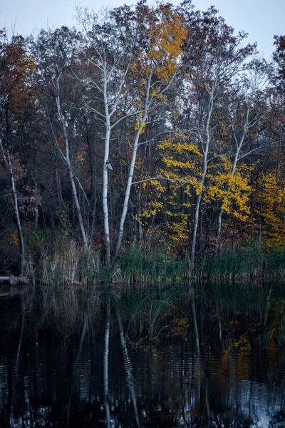 Herfst Landschap Van Lake Bomen — Stockfoto