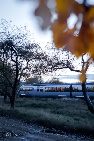 Speed train going through trees during autumn