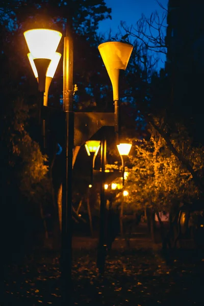 Pouliční Osvětlení Parku Noci Iasi Rumunsko — Stock fotografie