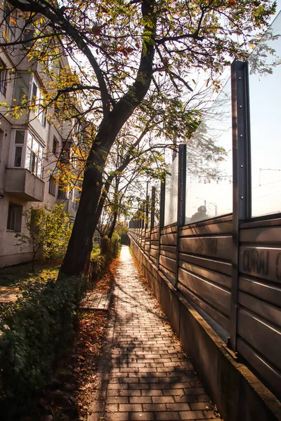 Asphaltierte Straße Neben Mehrfamilienhäusern Herbst Mit Sonne — Stockfoto