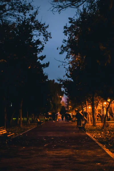 Steeg Een Park Tijdens Nacht Iasi Roemenië — Stockfoto