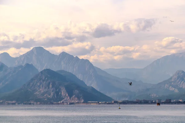 stock image Bird flying above the Mediterranean Sea and mountains peak in the distance seen from Antalya coast, Turkey