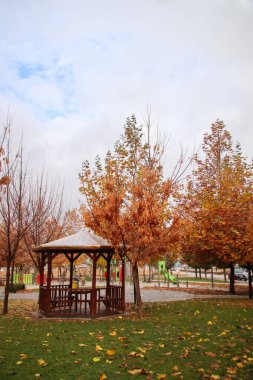 Sonbaharda düşen portakal yapraklarıyla park oyunu, Isparta, Türkiye 2022