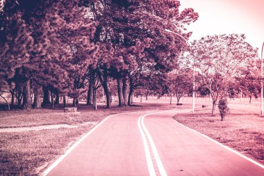 Güney Amerika 'nın en büyük kentsel parklarından birinin huzurlu güzelliğini Brezilya' nın Brasilia şehrinden geçen sakin bir yolun bu büyüleyici fotoğrafıyla keşfedin.. 