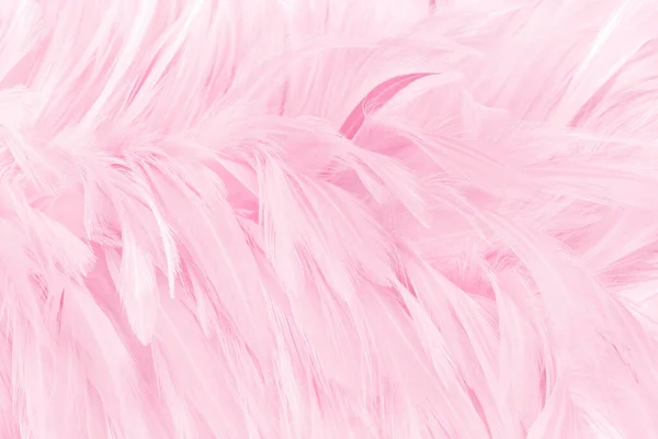 Hermoso Pájaro Rosa Claro Plumas Patrón Textura Fondo —  Fotos de Stock