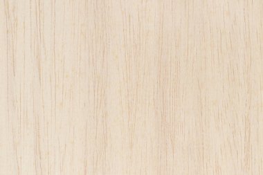 Yüksek çözünürlüklü doğal desenli bir Hollywood yüzeyi. Tahta taneli doku arkaplanı.