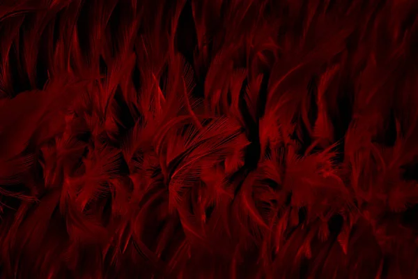 Beautiful Dark Red Bird Feathers Pattern Texture Background — Stock Photo, Image