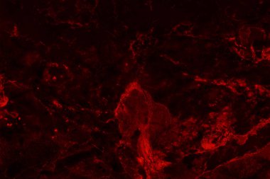 Yüksek çözünürlüklü koyu kırmızı mermer döşeme, lüks içindeki doğal taşların üst görüntüsü ve kusursuz parıltı deseni..