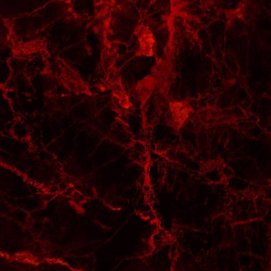 Yüksek çözünürlüklü koyu kırmızı mermer döşeme, lüks içindeki doğal taşların üst görüntüsü ve kusursuz parıltı deseni..