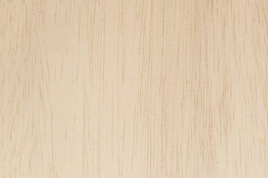 Yüksek çözünürlüklü doğal desenli bir Hollywood yüzeyi. Tahta taneli doku arkaplanı.