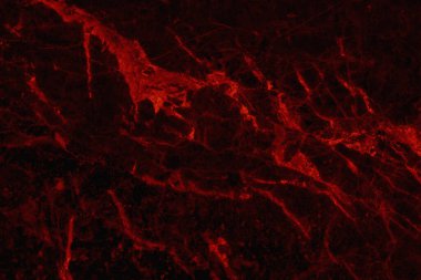 Yüksek çözünürlüklü koyu kırmızı mermer döşeme, lüks içindeki doğal taşların üst görüntüsü ve kusursuz parıltı deseni..