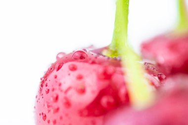 Su damlalarında kırmızı kirazlar. Böğürtlen arka planı.