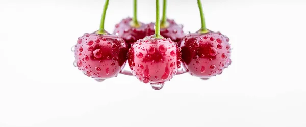 红色湿樱桃准备吃 樱桃在树枝上 浆果和食品背景 — 图库照片