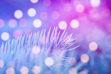 Arka planda firavun ağacı dalları üzerindeki sönmüş ışıklar (bokeh). Noel Ağacı Arkaplanı