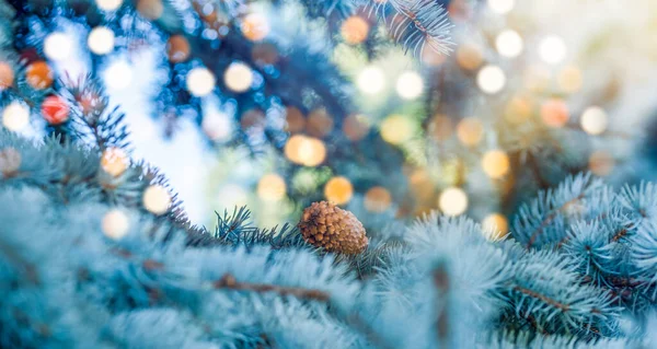Noel ağacı ve ışıklar yanıp sönüyor. Yeni yıl tatili konsepti köknar dalları ve hafif arka planda çam kozalağı
