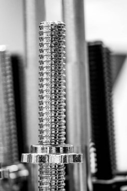 Boyun, dambıllar için yakın çekim. Güç sporu kavramı.