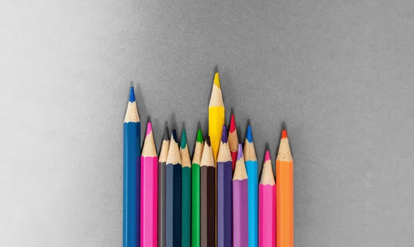 Standing Out Crowd Concept Colored Pencils Made Wood Intense Colours — Stock Photo, Image