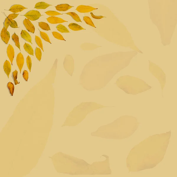 Листья Текстурированном Фоне Осенний Фон Пробелами Текста — стоковое фото