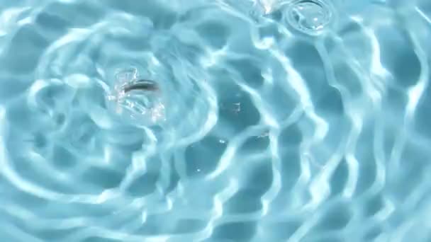 Video Van Water Spatten Vallen Druppels Een Blauwe Achtergrond Waterdruppel — Stockvideo