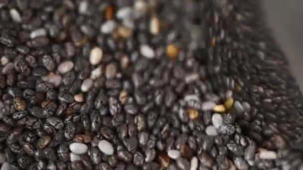Pile Chia Seeds Mixed Shiny Spoon Top View Selective Focus — Stock Video