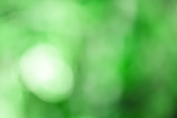 Yeşil bulanık bokeh arka plan
