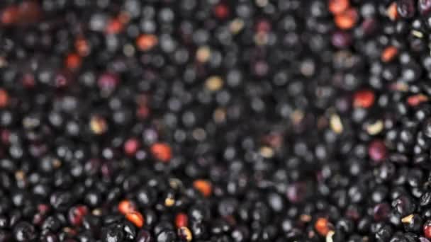 Semințele Quinoa Neagră Cad Dintr Lingură Într Mână Vedere Sus — Videoclip de stoc